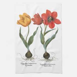 Vintage Spring Tulip Flowers by Basilius Besler Tea Towel