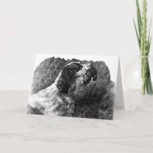 Vintage Springer Spaniel art Card