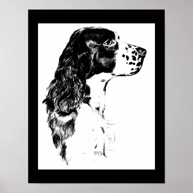 Vintage Springer Spaniel Dog Black And White Art Poster | Zazzle