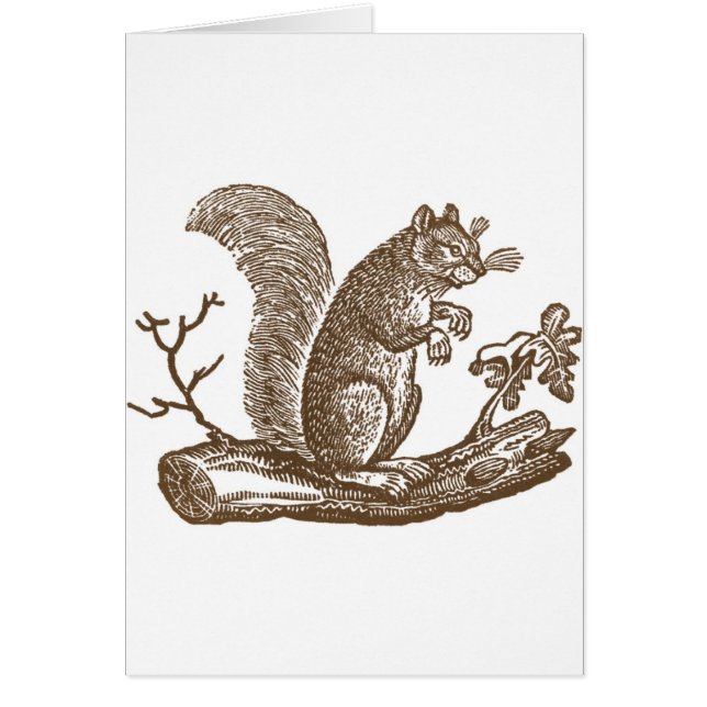 Vintage Squirrel (Front)