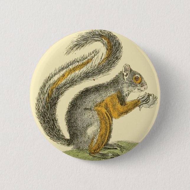 Vintage Squirrel Button (Front)