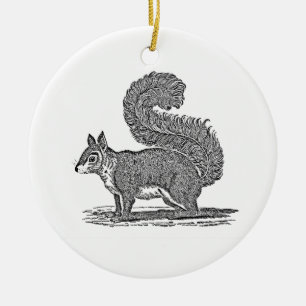Vintage Squirrel Illustration - 1800's Squirrels Ceramic Tree Decoration