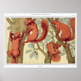 Vintage Squirrel Illustration Poster