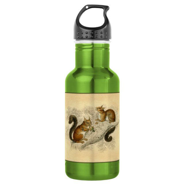 Vintage Squirrel Print 532 Ml Water Bottle (Front)