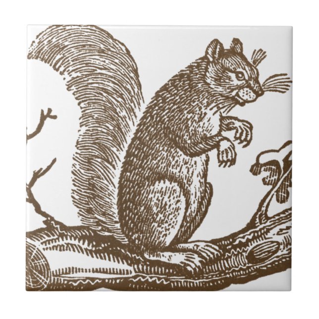 Vintage Squirrel Tile (Front)