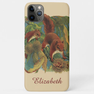 Vintage Squirrels, Forest Creatures, Wild Animals iPhone 11 Pro Max Case