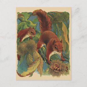 Vintage Squirrels, Forest Creatures, Wild Animals Postcard