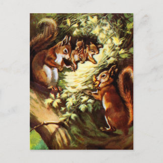 Vintage Squirrels Postcard