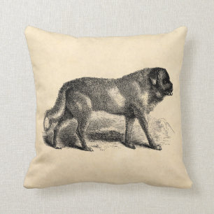 Vintage St. Bernard Dog 1800s Saint Bernards Dogs Cushion