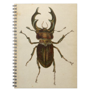 Vintage Stag Beetle Colour Illustration Notepad / Notebook