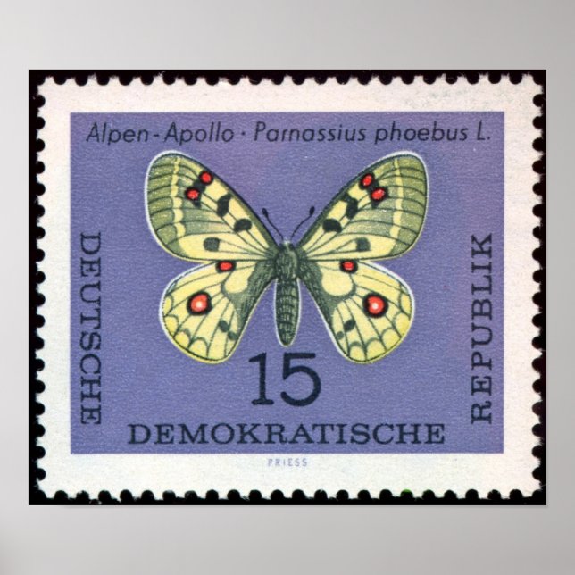 Vintage-Stamp-Art-German-Animal-Insect-Butterfly-3 Poster (Front)