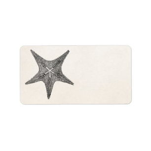 Vintage Starfish Antique Star Fish Template Label