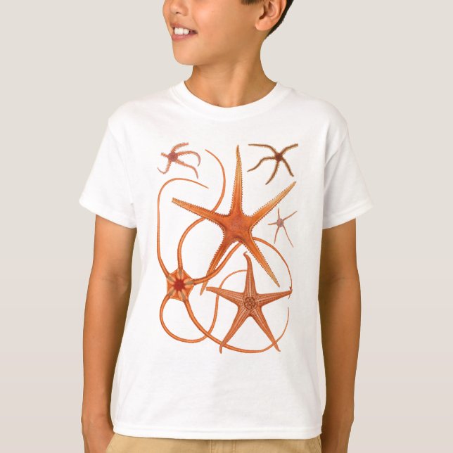 Vintage Starfish Illustration T-Shirt (Front)