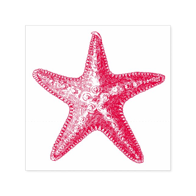 VINTAGE STARFISH SEALIFE RUBBER STAMP (Design)