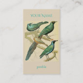 vintage starlings and mynah birds business card (Front)