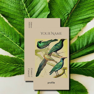 vintage starlings and mynah birds Kraft Business Card