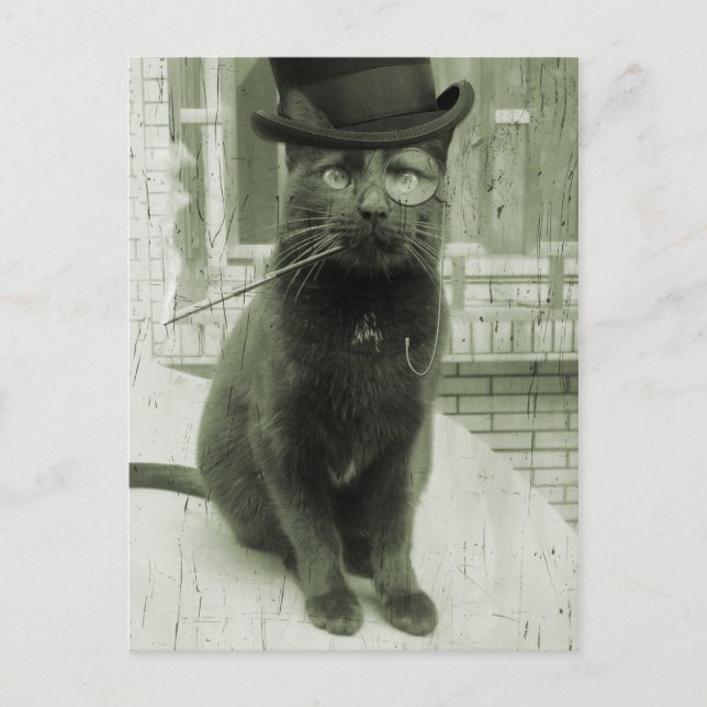 Vintage Steampunk LOL Funny Cat Postcard (Front)