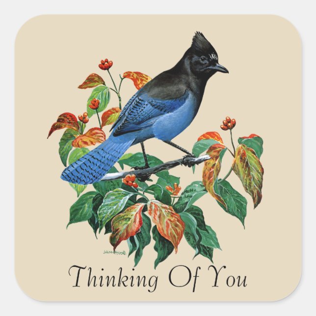 Vintage steller Jay bird Thinking of you sticker (Front)