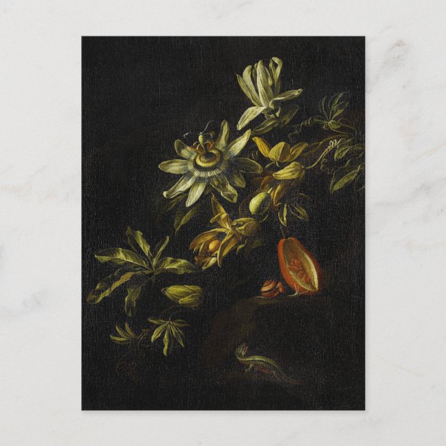 Vintage Still Life with Passionflowers Postcard (Front)