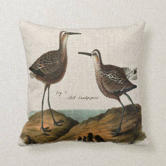 Vintage Stilt Sandpipers Cushion