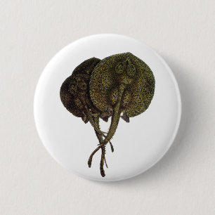 Vintage Sting Rays Stingrays, Marine Life Animals 6 Cm Round Badge