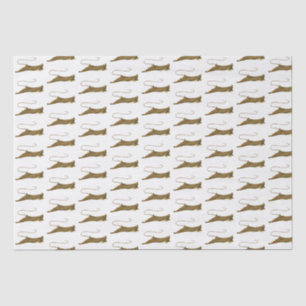 Vintage Stingray Drawing Tissue Paper