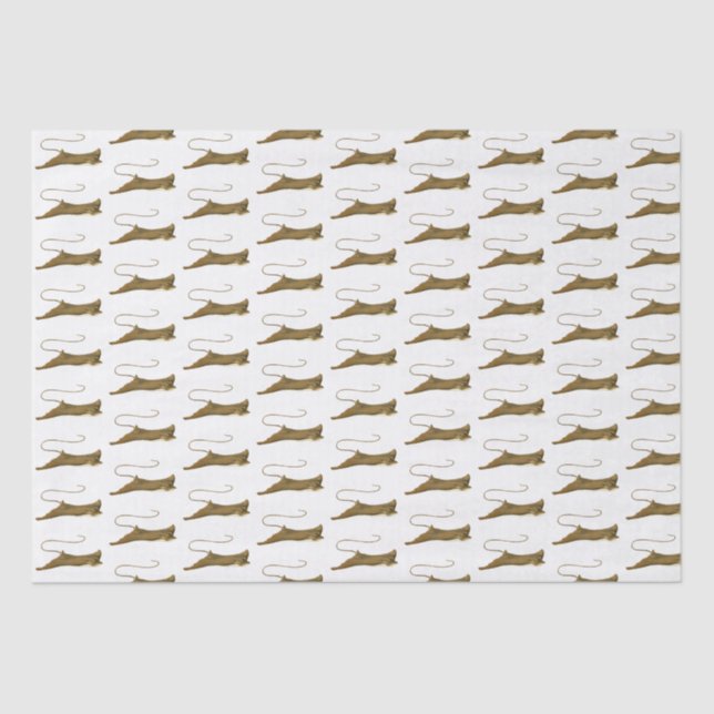 Vintage Stingray Drawing Tissue Paper (Front)