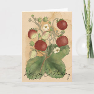 Vintage Strawberries  Card