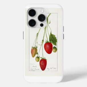 Vintage Strawberries iPhone 15 Pro Case