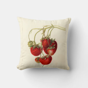 Vintage Strawberries Drawing Art Cushion