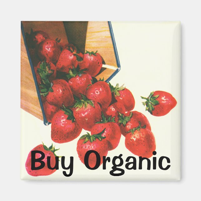 Vintage Strawberries in Basket, Food Fruit Berries Magnet (Front)