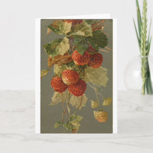 Vintage - Strawberries on the Vine, Card