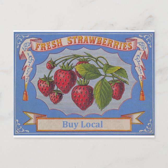 vintage strawberries postcard (Front)