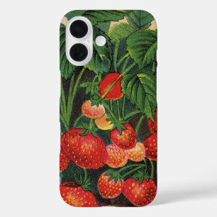 Vintage Strawberries, Strawberry Plants on a Farm iPhone 16 Case