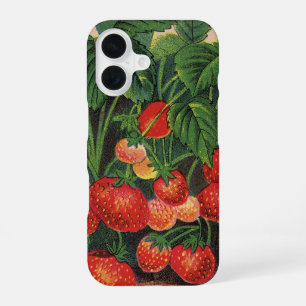 Vintage Strawberries, Strawberry Plants on a Farm iPhone 16 Case