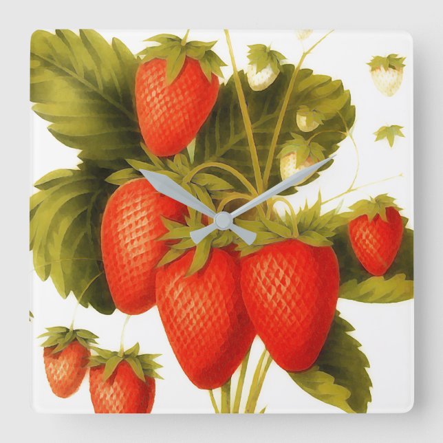 Vintage strawberries with green leaves square wall clock (Front)