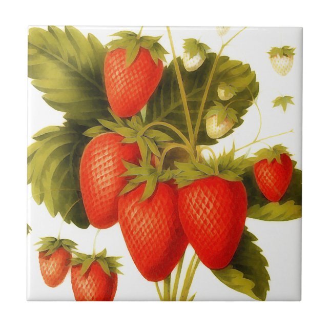 Vintage strawberries with green leaves tile (Front)