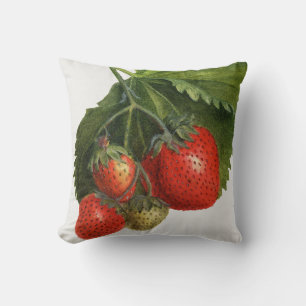 Vintage Strawberry Cushion