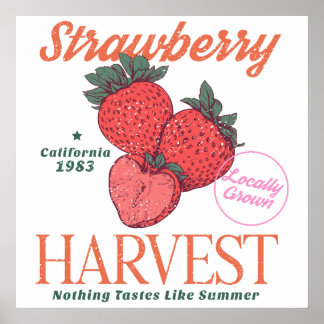 Vintage Strawberry Harvest California Kitchen Poster