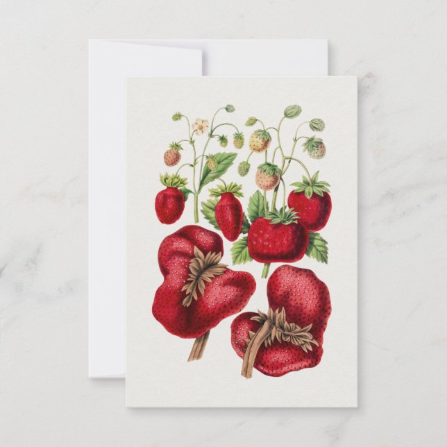 Vintage Strawberry  Invitation (Front)