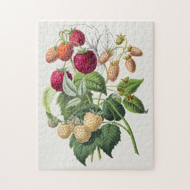 Vintage Strawberry Jigsaw Puzzle (Vertical)
