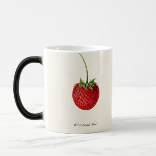 Vintage Strawberry Magic Mug