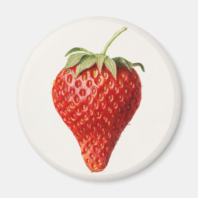 Vintage strawberry magnet (Front)