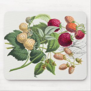 Vintage strawberry mouse mat