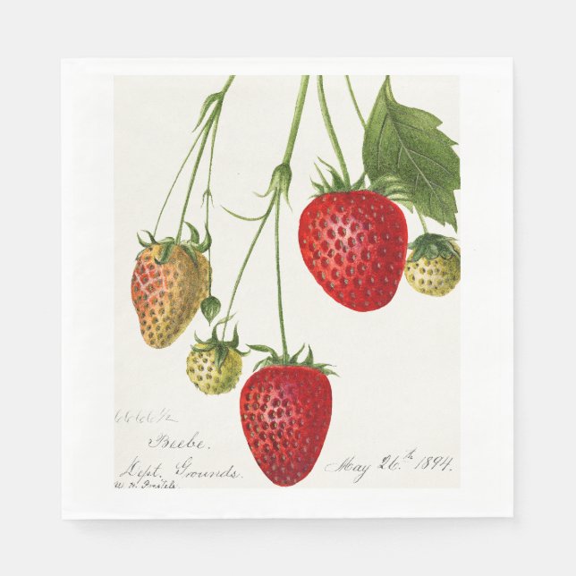 Vintage Strawberry Napkin (Front)
