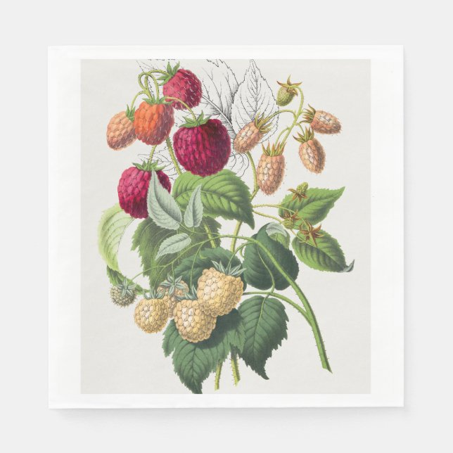 Vintage Strawberry Napkin (Front)