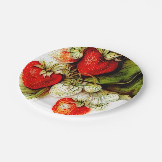 Vintage strawberry paper plate (Angled)