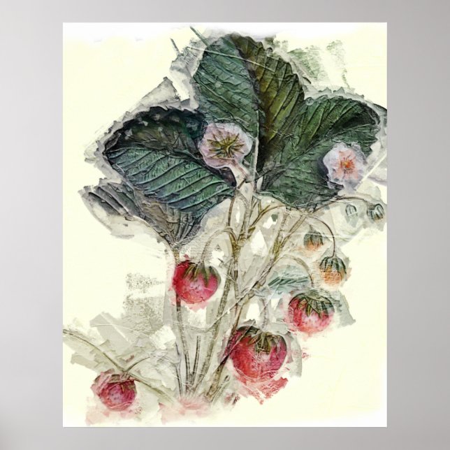 Vintage Strawberry Plant Flowers Watercolor Poster (Front)