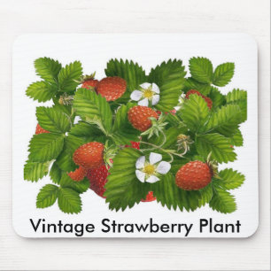 Vintage Strawberry Plant Mouse Mat