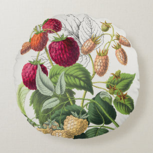 Vintage Strawberry Round Cushion